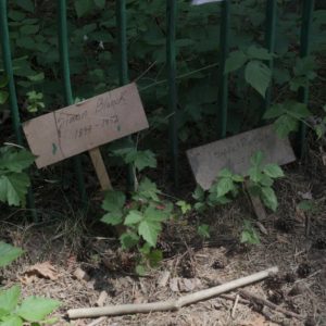 tabliczki z nazwiskami ofiar wojny umieszczone przy ogrodzeniu