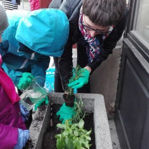 dzieci sadzą rośliny