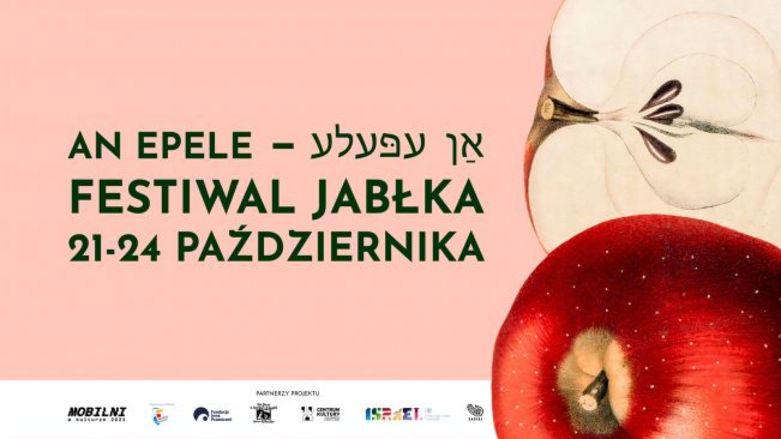 Po prawej stronie grafiki znajduje się jabłko, w centralnej części - napis "An epele. Festiwal Jabłka 21-24 października", w dolnej części logotypy organizacji współpracujących